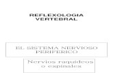 REFLEXOLOGIA VERTEBRAL SHU DEL DORSO.pdf