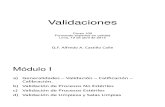 Validaciones Curso 100 d CEQUIFAR (ByN)
