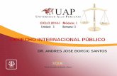 Derecho Internacional Publico Semana 3 Exposicion