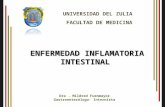 Clase Enfermedad Inflamatoria Intestinal
