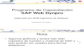 Capacitación SAP Web Dynpro