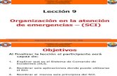 AV 9 Organizacion en La Atencion de Emergencias
