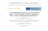 PLAZA Comercializacion de Yogur Helado Plan Financiero