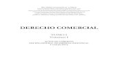 Manual de Derecho Comercial - R. Sandoval