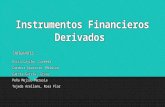 Insstrumentos Financieros Derivados Final