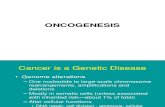 Bm 8-9 Oncogenesis