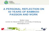 60 años del estudio bambu