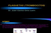 Plaquetas (Trombocitos)-Dr. Juan Carlos Ortiz Larin