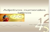 Adjetivos Numerales Latinos 4 4 FMM 2014
