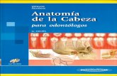 Anatomia de La Cabeza (Cuarta Edicion)