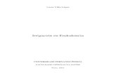 2012 Villa - Irrigacion en Endodoncia - Monografia