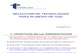 SELECCION DE TECNOLOGIAS PARA PLANTAS DE GAS.pdf
