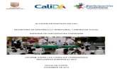Informe de logros Consejo Comunitarios realizados durante el 2013 - Asesoría de Participación