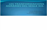 LES TRANFORMACIONS AGRÀRIES DEL SEGLE XIX.pptx