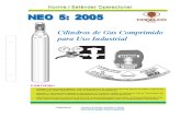 Cilindros de gas comprimido para uso industrial 2005.pdf