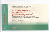 Libro Violaciones Al Debido Proceso Penal Amoreti Pachas