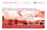 Reemergencia Pueblos Indigenas