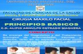 Principios Basicos de Cirugia Maxilo Facial