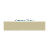 Fissuras e Trincas_2013