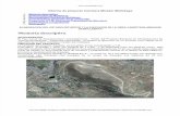 Informe Proyecto Carretera Mirador Mollebaya