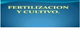 Fertilizacion y Cultivos 2013