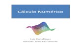 Calculo Numerico Luis Castellanos