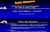 Seis Sigma Bb Control2