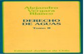 AVB v 35.1 1998 AGUAS Derecho Aguas Tomo II