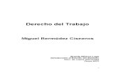 48974065 Derecho Del Trabajo Miguel Bermudez Cisneros Historico