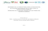 Informe de Talleres sobre Basura Marina en el Perú - CPPS.docx