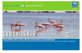 FUNDACIÓN SAN CRISANTO (Mexico) Estudios de Caso de la Iniciativa Ecuatorial