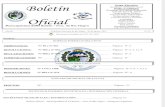 Boletin Oficial  2013 Nº 33