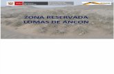 ZONA RESERVADA LOMAS DE ANCON 5.ppt