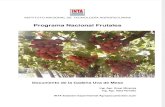 INTA_ Programa Nacional Frutales_Cadena de La Uva de Mesa