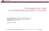 Proyecto de Contaminacion Visual - Debora Ontivero -EMEI
