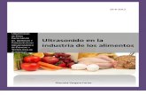 106951118 Ultrasonido en La Industria de Alimentos