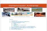 Contaminación Ambiental009