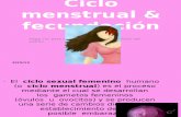 1.- Ciclo Menstrual&Fecundacion