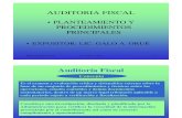 Auditoria_Fiscal INFORMACION Y PROCEDIMIENTOS  FACILES.pdf