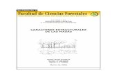 Estructura Del Bosque Horizontal y Vertical