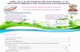 Aparato Reproductor Masculino_histologia