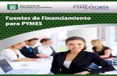 Fuentes de Financiamiento para PyMEs