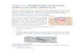 Tema 5. Microcirculación. Circulación linfática.