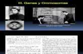 IV. Genes y Cromosomas