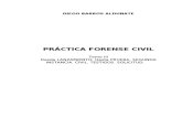 Practica Forense Civil - Tomo III - Diego Barros Aldunate