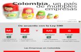 "Colombia un país de múltiples Empresas" Camilo Montes Director Nacional de MIpymes