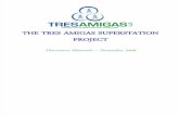 TresAmigas Presentation 11 04