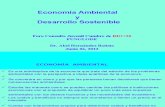144Economia Ambiental y Desarrollo Sostenible FUNGLODE RIO+20 Jun 06,12 (2)