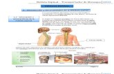 Médula Espinal y Nervios Espinales (S)