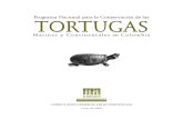 Programa Conservacion de Tortugas Colombia